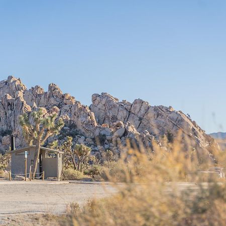 New Property! The Cactus Villas At Joshua Tree National Park - Pool, Hot Tub, Outdoor Shower, Fire Pit Twentynine Palms Eksteriør bilde