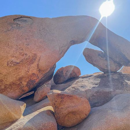 New Property! The Cactus Villas At Joshua Tree National Park - Pool, Hot Tub, Outdoor Shower, Fire Pit Twentynine Palms Eksteriør bilde
