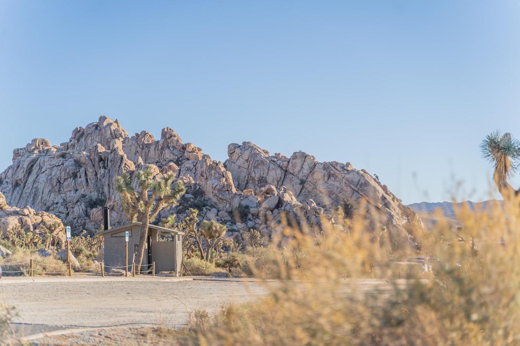 New Property! The Cactus Villas At Joshua Tree National Park - Pool, Hot Tub, Outdoor Shower, Fire Pit Twentynine Palms Eksteriør bilde